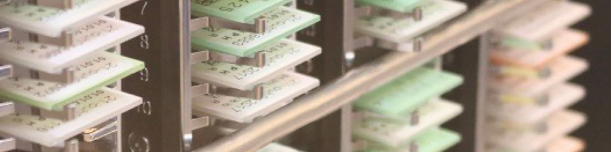 web_billede_rack_1200x300px web_billede_rack_1200x300px